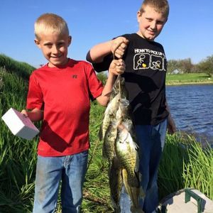 Meet your Posher, Blaine